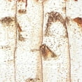 thumbnail image 1 of Set Of 20 Luncheon Birch Tree Napkins, 1 of 1