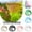 C001- Beige, variant on Floating Fish Tank Decorations, Fish Decorations for Tank, Fish Aquarium Decor, 4X3 In, Dome Structure, 1 Pc, White, Mesh Shelter, Aquatic Enclosures