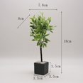 thumbnail image 1 of 1/6 Doll House Furniture Accessories Mini Model Potted Plant Pot Green Plants Tree Bjd Ob11 Blyth Lol Miniature Scene Decoration Gao Jinjia LED, 1 of 2