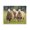 Sheep Grazing Countryside, variant on Stupell Industries Sheep Grazing in Grass Animals & Insects Painting Black Floater Framed Canvas Art Print Wall Art, 21 x 17