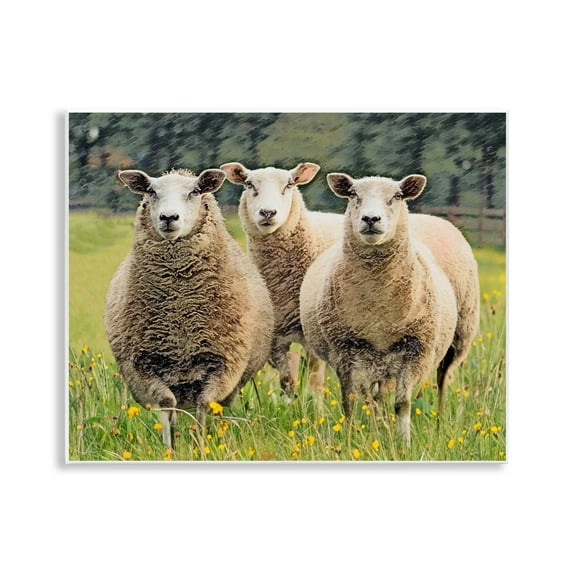 Stupell Industries Sheep Grazing in Grass Animals & Insects Painting Unframed Art Print Wall Art, 14 x 11