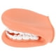 thumbnail image 5 of Modelo de dientes humanos Modelo de dientes estándar dental Modelo de dientes para enseñanza Modelo de dientes dentales Modelo de enseñanza de dientes, 5 of 7