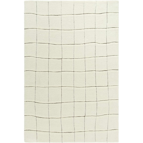 BoutiqueRugs Caolan Checkered Area Rug - Machine Washable - Pearl, Off White - 2' x 3'
