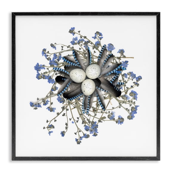 Stupell Industries Feathered Nest & Blue Florals Black Framed Giclee Art, design by Beth Adoette