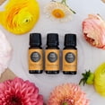 thumbnail image 2 of Edens Garden Citrus Cream Essential Oil Blend- 100% Pure Premium Grade, Undiluted, Natural, Therapeutic, Aromatherapy, The Best for Candle, Laundry, Humidifiers 118 ml (4 fl oz), 2 of 8