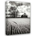 thumbnail image 1 of Alan Hausenflock 23x32 Gallery Wrapped Canvas Wall Art Titled - Stormy Skies II, 1 of 4
