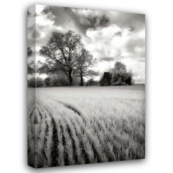 Alan Hausenflock 17x24 Gallery Wrapped Canvas Wall Art Titled - Stormy Skies II