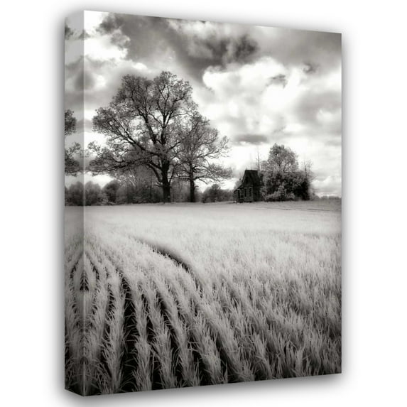 Alan Hausenflock 23x32 Gallery Wrapped Canvas Wall Art Titled - Stormy Skies II