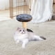 thumbnail image 1 of Fiudx Rascador de Sisal para Gatos, Estructura de Escalada con Pelota de Juguete, Base de Madera Resistente, Diseño Compacto, Zona de Juego Multifuncional para Gatos de Interior, Tamaño 20 X 20 X 13, 1 of 6