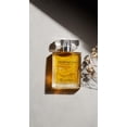 thumbnail image 5 of Perfume Yanbal Temptation Eau De Parfum + Lápiz labial líquido mate, 5 of 5