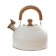 thumbnail image 2 of Hervidor silbador de acero inoxidable con mango ergonómico, ideal para cocina, hogar, 25L blanco, 2 of 9