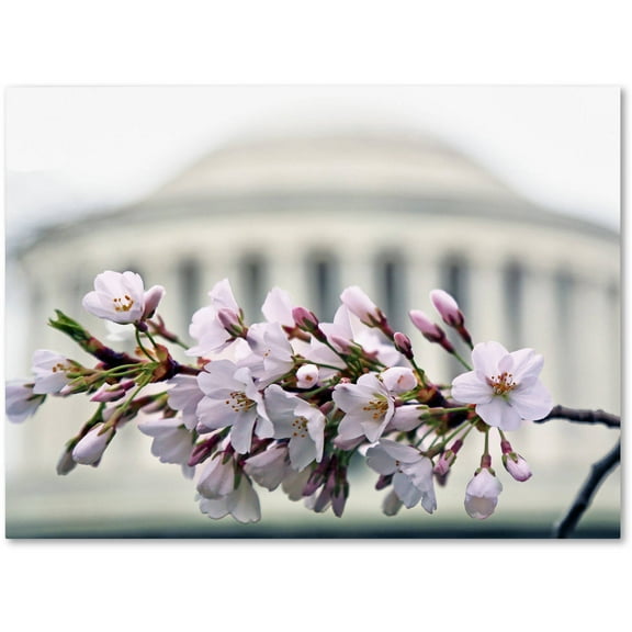 Trademark Fine Art "Jefferson Memorial Blossoms" Canvas Art by CATeyes