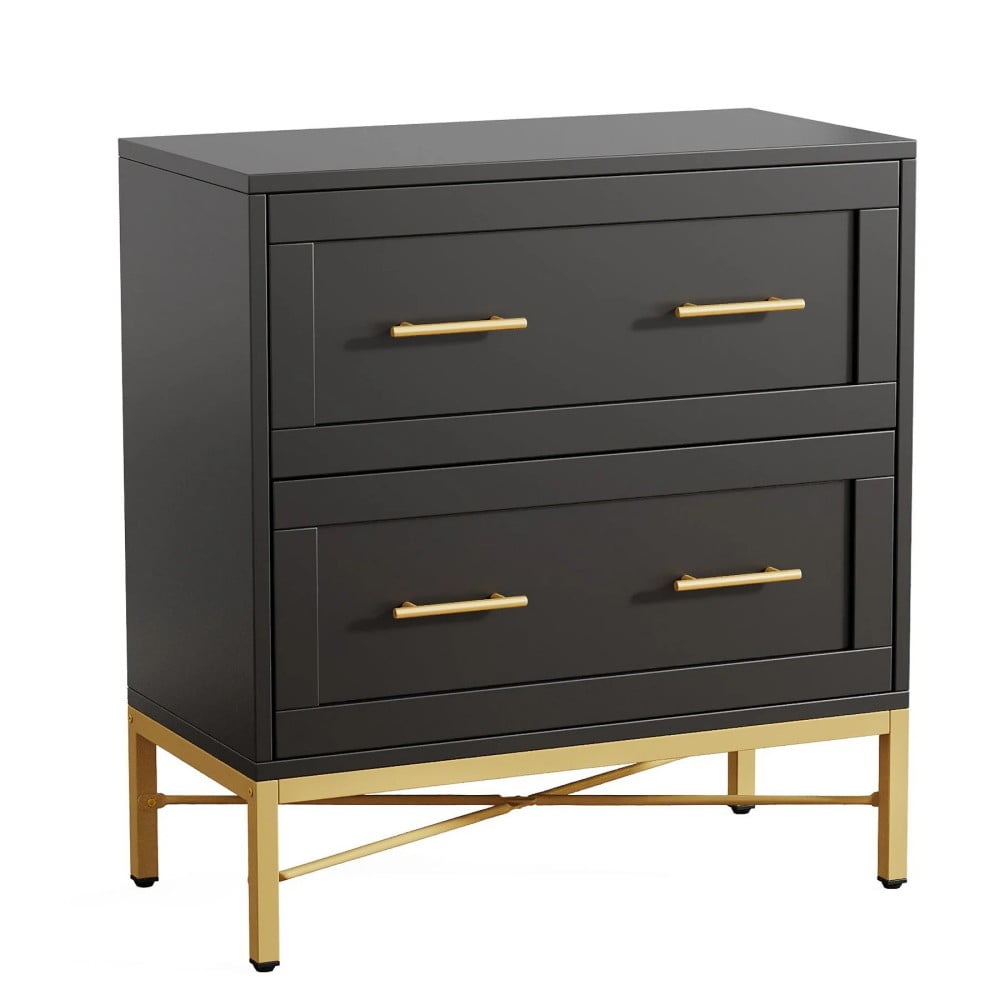 Canddidliike 2-Drawer File Cabinet, Lateral Storage Cabinet Printer Stand, Filing Cabinet for Indoor as Home, Black & Gold