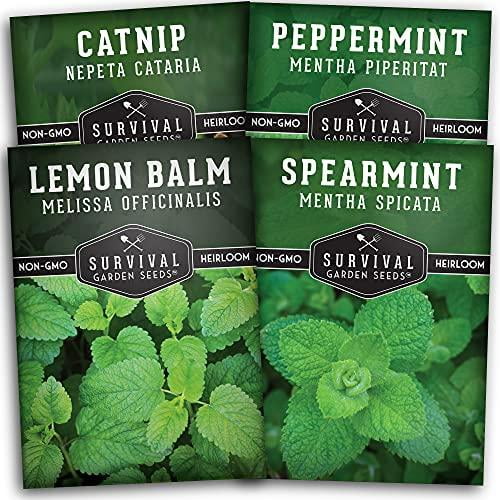 Survival Garden Seeds Mint Collection Seed Vault NonGMO Heirloom