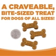 thumbnail image 2 of NutriSource Soft  Tender Lamb Dog Treats 14oz, 2 of 6