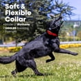 thumbnail image 5 of Regal Dog Products Small Red Waterproof Dog Collar and Leash Set | Heavy Duty Double Buckle & D Ring - 5'ft Leash | Adjustable Biothane Dog Collar | Chew Resistant Waterproof Collar for Dogs, 5 of 9