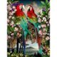 thumbnail image 1 of Cuadros Decorativos Kit de pintura de diamantes DIY Animal Full Square Diamond Mosaic Art Ehuebsd Nuevos Originales, 1 of 9