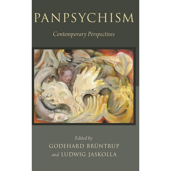 Philosophy of Mind Panpsychism Phms C, (Hardcover)