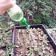thumbnail image 1 of Aspersor de riego con boquilla de agua portátil, 3 uds., 4,6x3cm, para botellas, latas de ducha, herramienta de riego de plantas, 1 of 6
