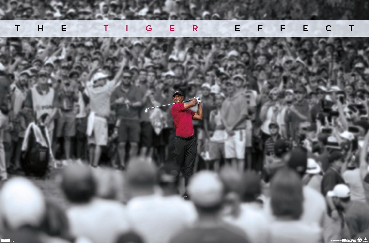Tiger Woods - The Tiger Effect Wall Poster