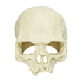 thumbnail image 2 of Cififendec Halloween Aquarium Skull Ornament, 3.93"×3.46", Plastic Hideout Cave for Fish Tank Reptile Terrarium Turtle Lizard Shrimp Hiding Decor, 2 of 6