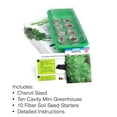 thumbnail image 3 of Window Garden Basil Herb Kit - Grow Your Own Food Easily & Fun, 3 of 7