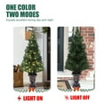 thumbnail image 5 of Set of 2 4Ft Pre-Lit LED Artificial Pine Christmas Tree with Urn Pot, 5 of 8