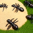 thumbnail image 4 of MasteelfCA 50PC Simulation Fake Big Ant Small Toys Animal Insect Model Gift Accessories for Halloween April Fool's Day (Black), 4 of 7