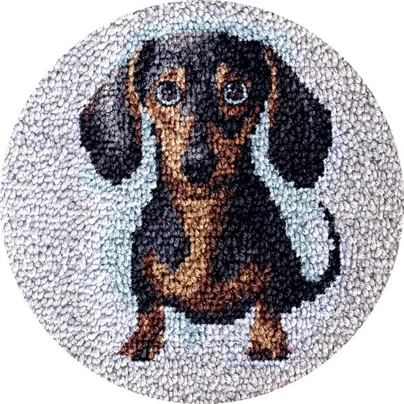 Dachshund Latch Hook kits Rug Pre-printed Round Shape DIY Crochet Yarn Embroidery Needlework Hook and Latch Kit Carpet Cushion Home Christmas Decoration 50x50cm(1)