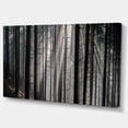 thumbnail image 2 of Sunbeams Peeking Through Dark Forest - Forest Canvas Art Print, 2 of 3