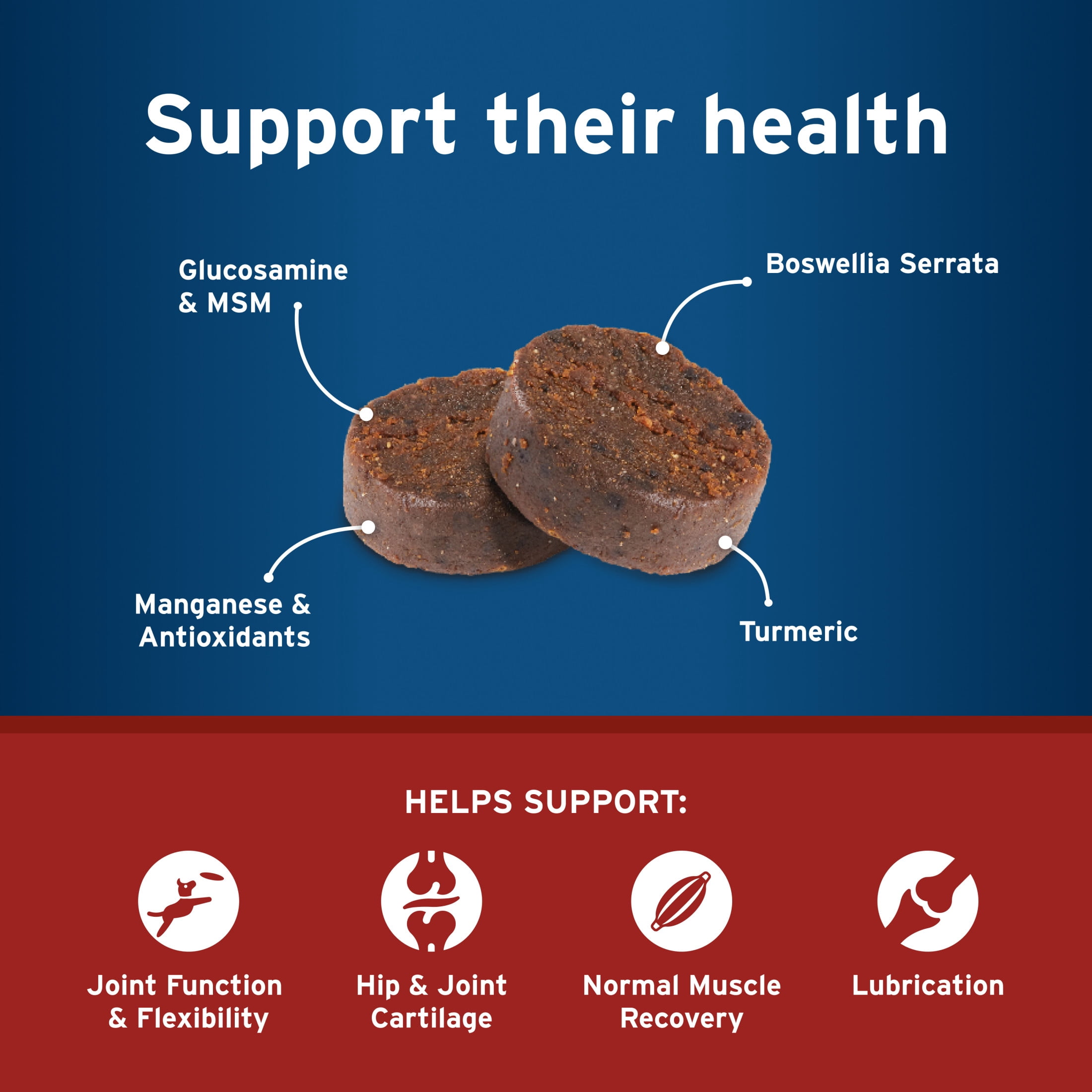 Pet Protect Dog Hip & Joint+ Supplement, Vet-Formulated Synovi G4, Chicken, 240 Soft Chews