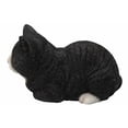 thumbnail image 4 of Estatua de gato durmiendo Hi-Line Gift Ltd., poliresina blanca y negra, 4 of 5
