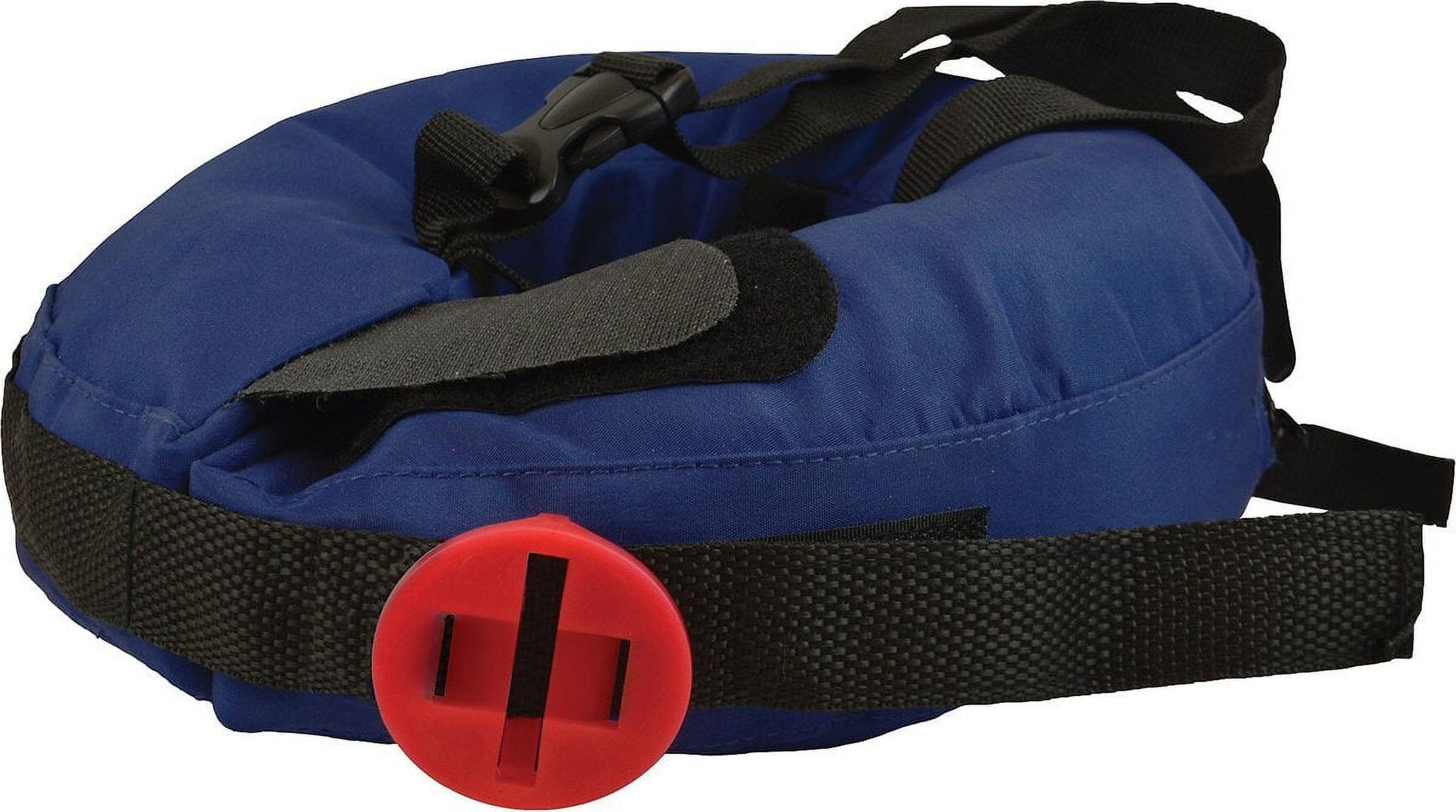 Calm Paws Inflatable Protective Dog & Cat Collar Size: Medium