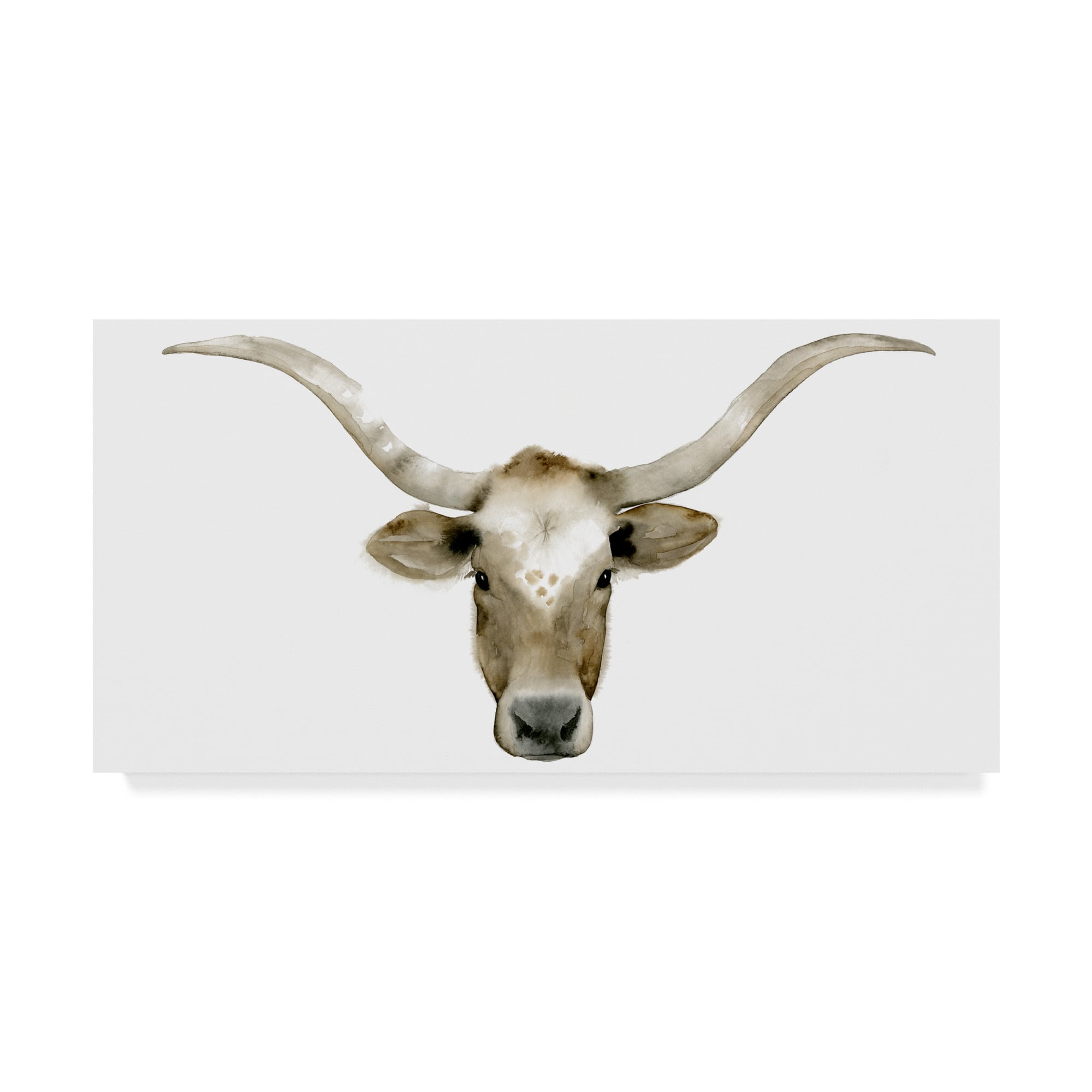 Trademark Fine Art 'Longhorn Steer II' Canvas Art by Grace Popp