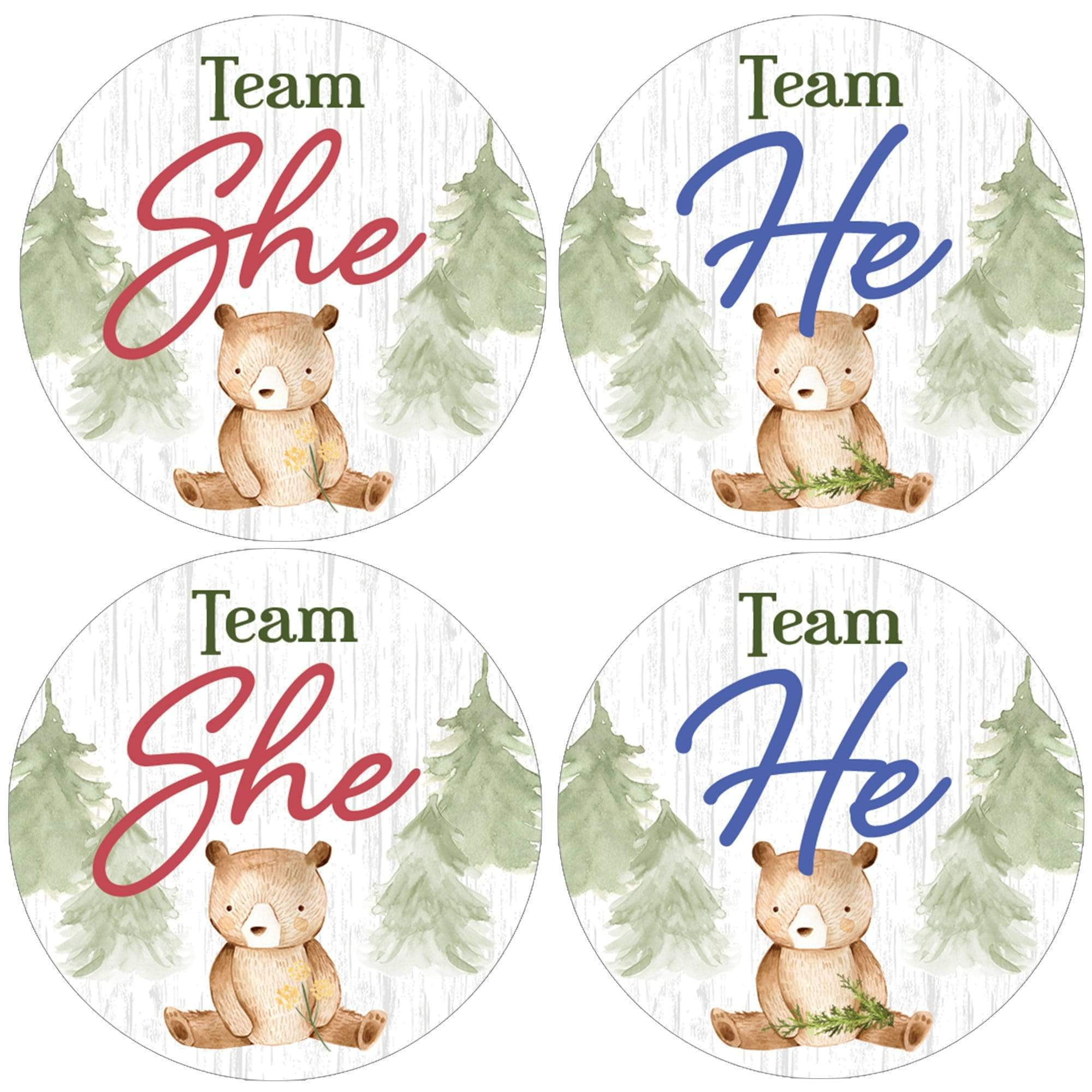 Woodland Bear Gender Reveal Team He or She Party Favor Stickers - 40 Labels - Distinctivs