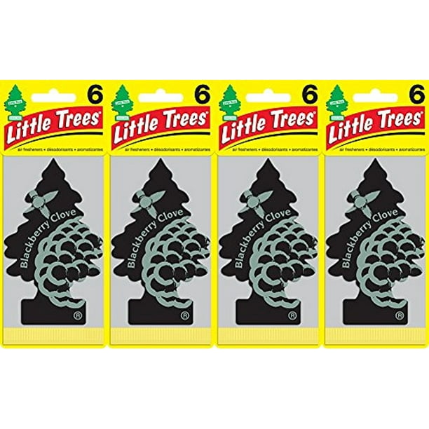 Little Trees Blackberry Clove Air Freshener, (Pack of 24)