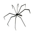 thumbnail image 2 of Miulika Halloween Decorations Giant Spider Huge Spider,Realistic,Lightweight,Collectible,Realistic Animal Toy for Yard Indoor Outdoor, 2 of 9