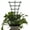 Dark green, variant on Nvzi 6pcs Small Indoor Plant Climbing Trellis Plastic Garden Trellis Superimposed Potted Plant Support Mini Climbing Flower Vegetables Rose Vine Pea Ivy Cucumbers Pots Support