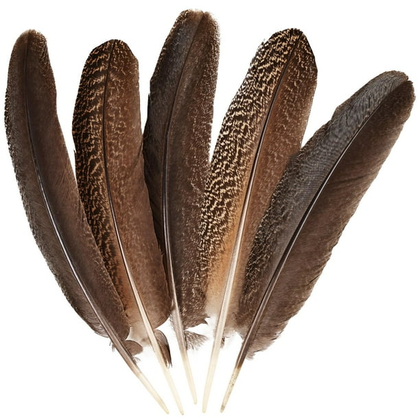 Alas de plumas de pavo real Daieeparty, naturales, de 30 a 35 cm, artesanía