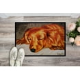 thumbnail image 2 of Carolines Treasures AMB1202JMAT Tapis Intérieur Ou Extérieur Rouge Longhaired Dachshund - 24 x 36, 2 of 4