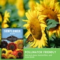 thumbnail image 4 of 3 packs Mixed Sunflower Seeds - Non-GMO Heirloom Full Sun Annual Flower - Survival Garden Seeds, 4 of 8