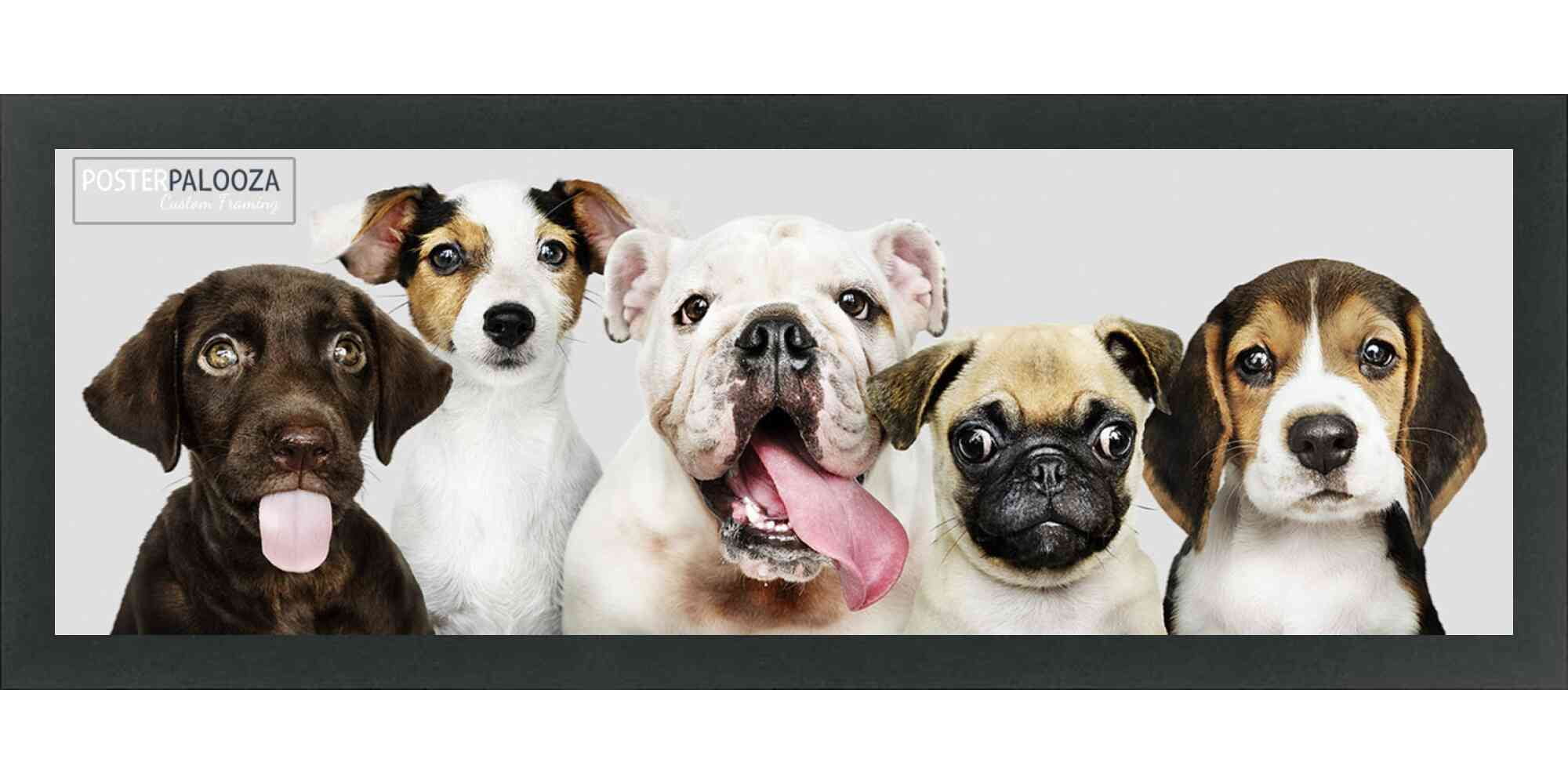 4x10 Black Wood Picture Frame - UV Acrylic, Foam Board Backing, Hanging Hardware