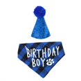 thumbnail image 1 of Sombrero sin ala azul para perro + bufanda triangular, 1 of 5