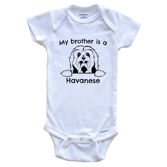 My Brother is a Havanese Cute Dog Breed Baby Bodysuit, 0-3 months white