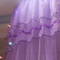 thumbnail image 4 of Ceiling-Mounted Mosquito Net Lace Dome Mosquito Net Canopy Fly Insect Protect Single Entry Double King Bed Princess Style without LED Light Strip, 4 of 6
