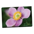 thumbnail image 2 of Gango Home Decor Anemone II by Erin Berzel (Ready to Hang); One 36x24in Hand-Stretched Canvas, 2 of 4