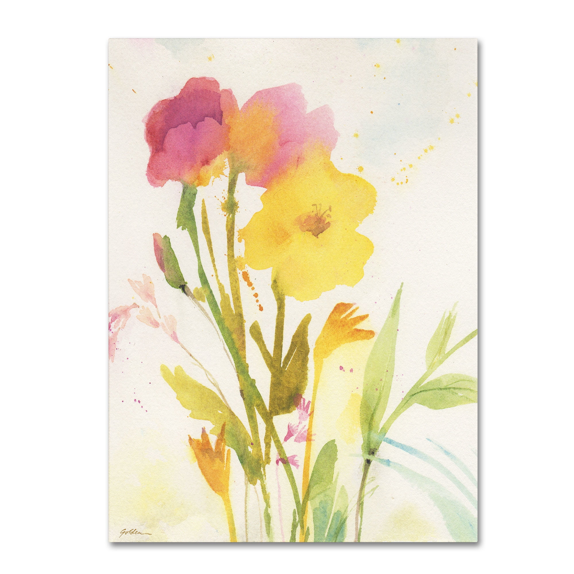 Trademark Fine Art "Wildflowers Against the Sky" Canvas Art by Sheila Golden