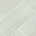 thumbnail image 2 of MSI Eden Dolomite 12 in. x 24 in. Polished Porcelain Floor And Wall Tile (16 Sq. Ft./Case), 2 of 5