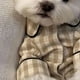 thumbnail image 3 of Ropa de dormir para mascotas, pijamas para perros con cierre de gancho y bucle de algodón a cuadros con bolsillo trasero para cachorros y gatos, primavera y verano, 3 of 5