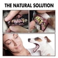 thumbnail image 5 of Spray limpiador de dientes para mascotas, versión casera 2X, apto para perros y gatos, limpiador de manchas de dientes y halitosis, spray para el cuidado de la salud de las mascotas, 5 of 5